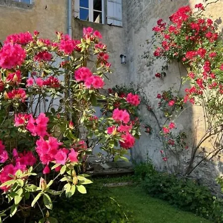 De Charme Le Clos De La Cathedrale En Sud Gironde