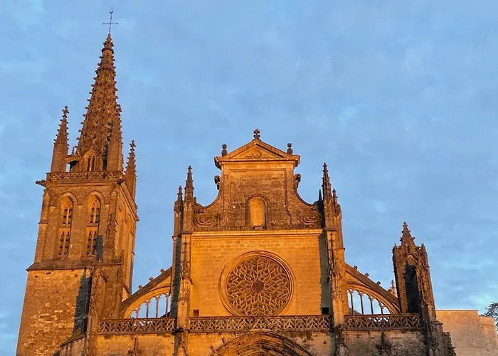 Le Clos De La Cathedrale 3* بازاس